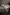 Project image of Norwegian Forest